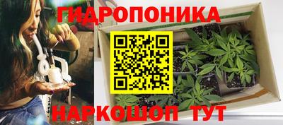 PSILOCYBIN Гусиноозёрск