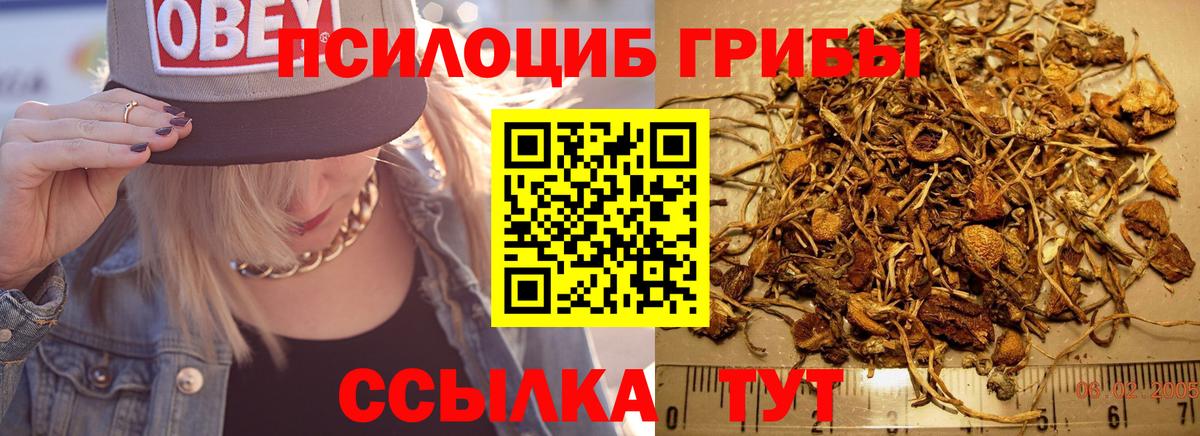 Минеральные Воды  Псилоцибиновые грибы Psilocybe  Вход с VPN 