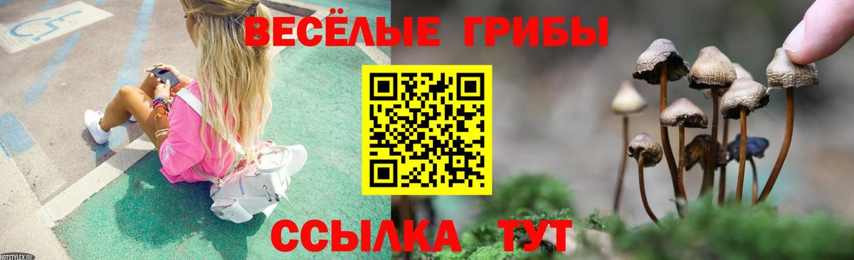 Галлюциногенные грибы Psilocybine cubensis Минеральные Воды